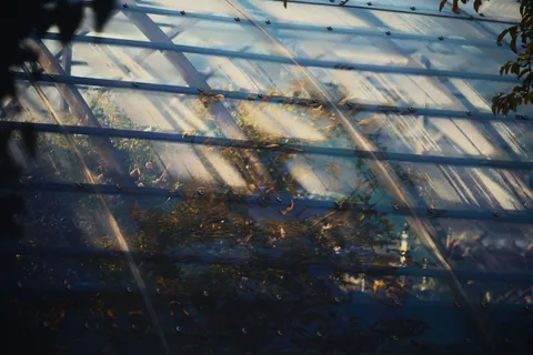 archive 041